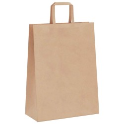 Sacs en papier 250 pcs avec poignées marron 26x12x35 cm 