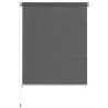 Store roulant d'extérieur 140 x 230 cm Anthracite 