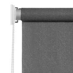 Store roulant d'extérieur 140 x 230 cm Anthracite 