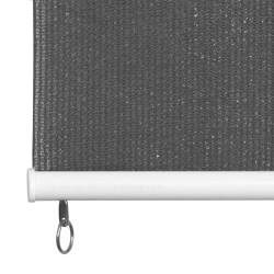 Store roulant d'extérieur 140 x 230 cm Anthracite 