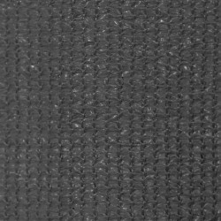 Store roulant d'extérieur 140 x 230 cm Anthracite 