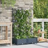 Jardinière de jardin avec treillis 2 pcs Grise 80x40x125.5 cm 