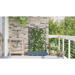 Jardinière avec treillis 2 pcs Gris clair 80x40x125,5 cm 