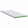 Coussins de Matelas Blanc et vert 70 x 200 cm 