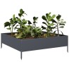 Lit surélevé de jardin anthracite 100x100x33,5 cm acier 