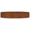 Pot en Acier Corten Acier Corten Grand Durable 