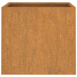 Jardinières 2 pcs 42x40x39 cm acier corten 