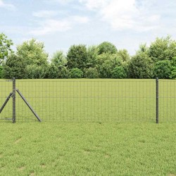 Clôture Euro avec 7 poteaux, 0,8 x 10 m, en acier galvanisé gris 