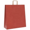 Sacs en papier 50 pcs avec poignées rouge 45x17x48 cm 