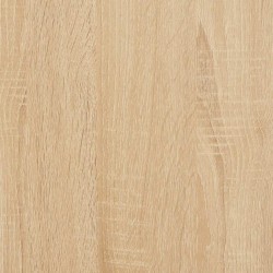 Support de moniteur Chêne Sonoma 100 x 24 x 13 cm Aggloméré 