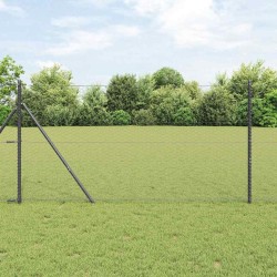Clôture Hexagonale Gris 1,2x10 m Acier 