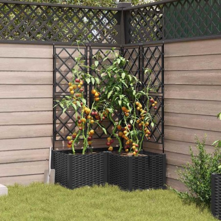 Jardinière avec treillis 3 pcs Noir 80x80x143 cm 