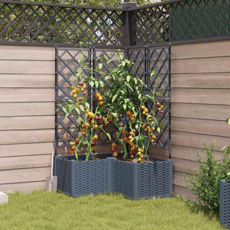 Jardinière avec treillis 3 pcs Gris clair 80x80x143 cm 