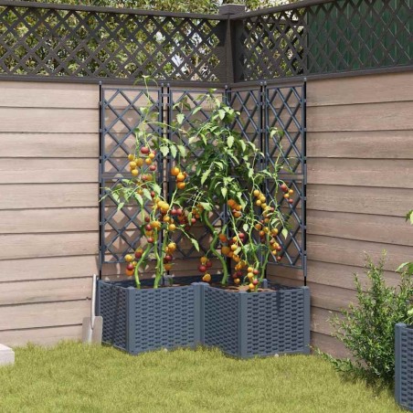 Jardinière avec treillis 3 pcs Gris clair 80x80x143 cm 