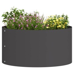 Pots de fleurs en plastique noir Noir Plastique Moyen Solide 