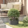 Pots de fleurs en plastique noir Noir Plastique Moyen Solide 