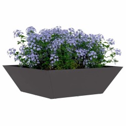 Bol de jardin noir 50x50x15 cm en acier 