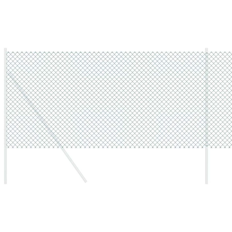 Clôture Vert 10 x 0.8 m Métal 