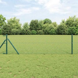 Clôture Vert 25 x 0.8 m Acier galvanisé 