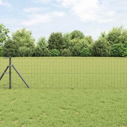 Clôture Euro avec 7 poteaux, 0,8 x 10 m, en acier galvanisé gris 