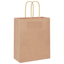 Sacs en papier 250 pcs avec poignées marron 18x8x22 cm 