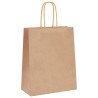 Sacs en papier 250 pcs avec poignées marron 18x8x22 cm 