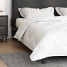 Couettes & Duvets Blanc 200 x 220 cm Microfibre 