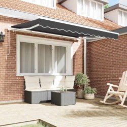 Tissu de Remplacement pour Store 3x2 m Anthracite 