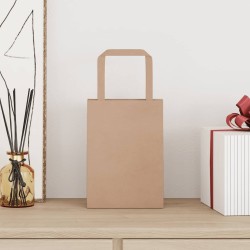 Sacs en papier 250 pcs avec poignées marron 15x8x21 cm 