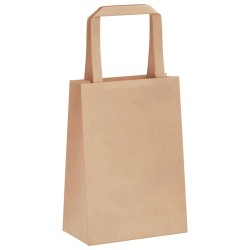 Sacs en papier 250 pcs avec poignées marron 15x8x21 cm 