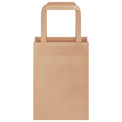 Sacs en papier 250 pcs avec poignées marron 15x8x21 cm 