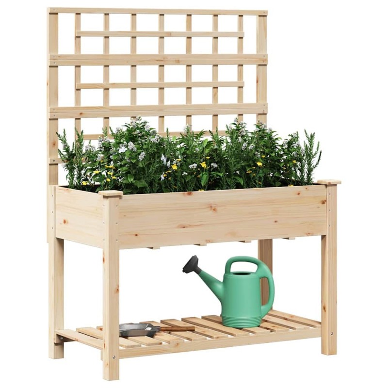 Jardinière avec treillis et étagère 115x59x152 cm en bois massif de sapin 