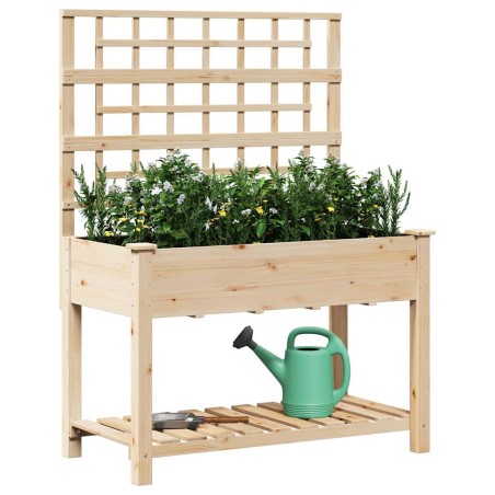 Jardinière avec treillis et étagère 115x59x152 cm en bois massif de sapin 