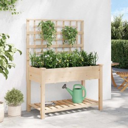 Jardinière avec treillis et étagère 115x59x152 cm en bois massif de sapin 