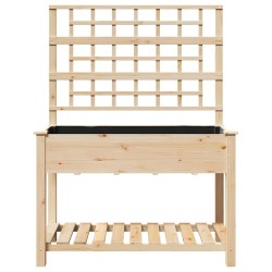 Jardinière avec treillis et étagère 115x59x152 cm en bois massif de sapin 