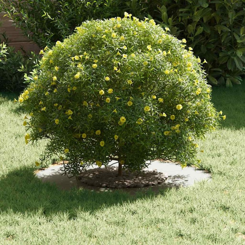 Pot de fleurs en céramique Blanc Céramique Grand Rond Moderne 