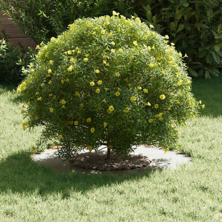 Pot de fleurs en céramique Blanc Céramique Grand Rond Moderne 