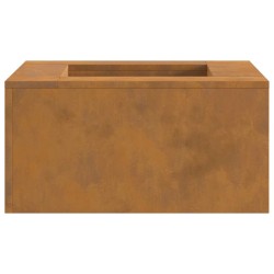 Foyer Carré 60x60x30 cm en Acier Résistant aux Intempéries 