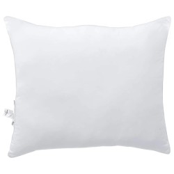 Oreillers 2 pcs Blanc 60 x 70 cm 