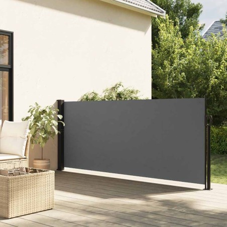 Auvent latéral rétractable anthracite 120x500 cm 