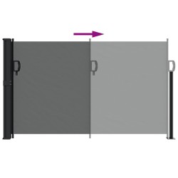 Auvent latéral rétractable anthracite 120x500 cm 