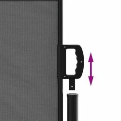 Auvent latéral rétractable anthracite 120x500 cm 