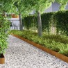 Bordure de jardin 4 pcs Rouillé 450 x 15 cm 