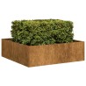 Jardinière rouillé 100x100x30 cm acier inoxydable 
