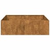 Jardinière rouillé 100x100x30 cm acier inoxydable 