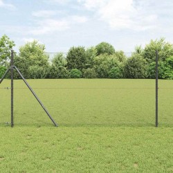 Clôture Hexagonale Grise 1x10 m Acier 