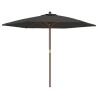 Parasol de jardin avec mât en bois anthracite 299x240 cm 