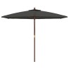 Parasol de jardin avec mât en bois anthracite 299x240 cm 