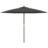 Parasol de jardin avec mât en bois anthracite 299x240 cm 