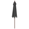 Parasol de jardin avec mât en bois anthracite 299x240 cm 
